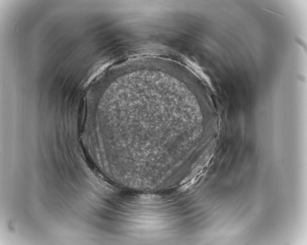 X0000098160154200805081111