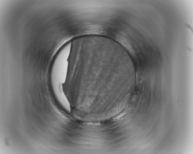 X0000098160156200805081111