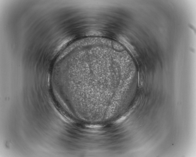X0000098160157200805081111