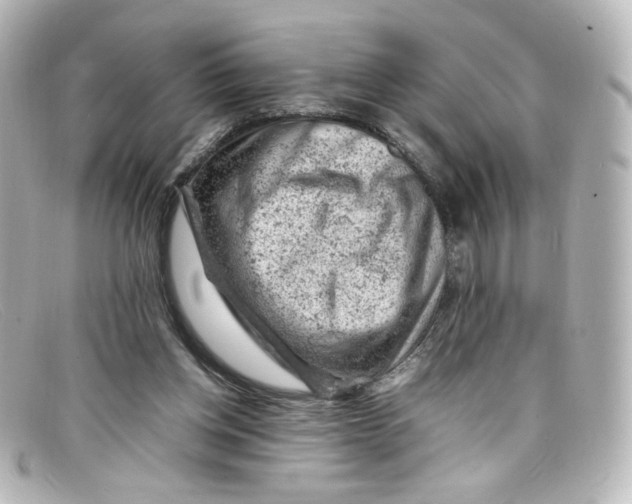 X0000098160158200805081111