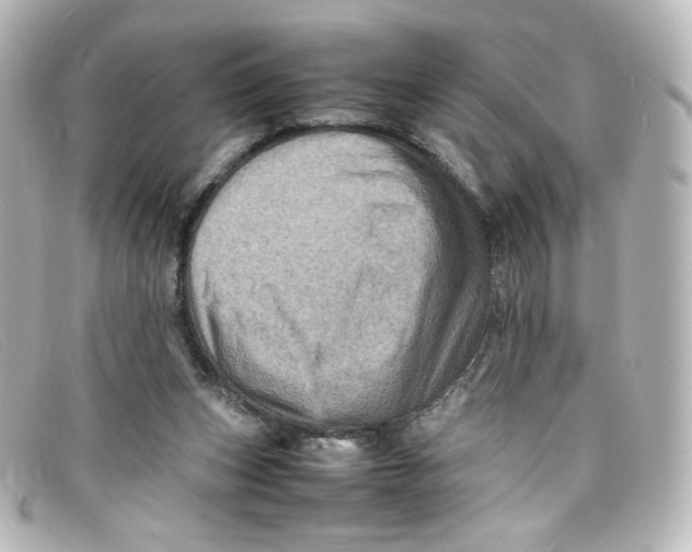 X0000098160159200805081111