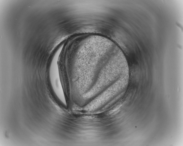 X0000098160160200805081111