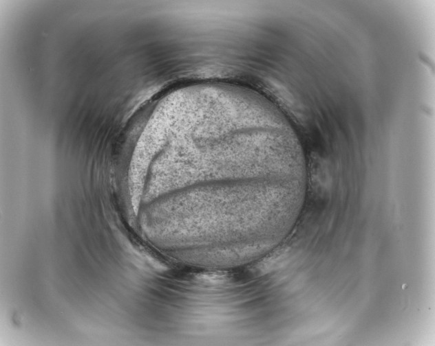 X0000098160164200805081111