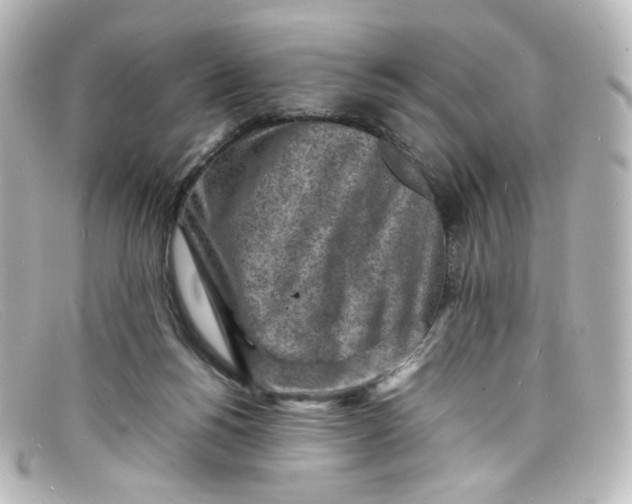 X0000098160168200805081111