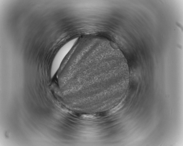 X0000098160170200805081111