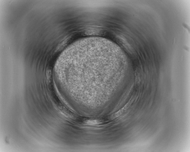 X0000098160171200805081111