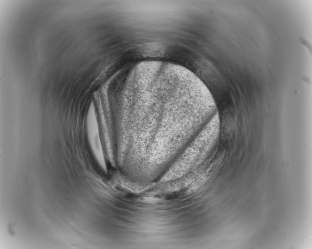 X0000098160172200805081111