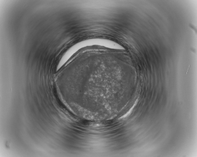 X0000098160174200805081111