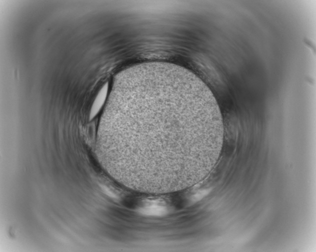 X0000098160175200805081111