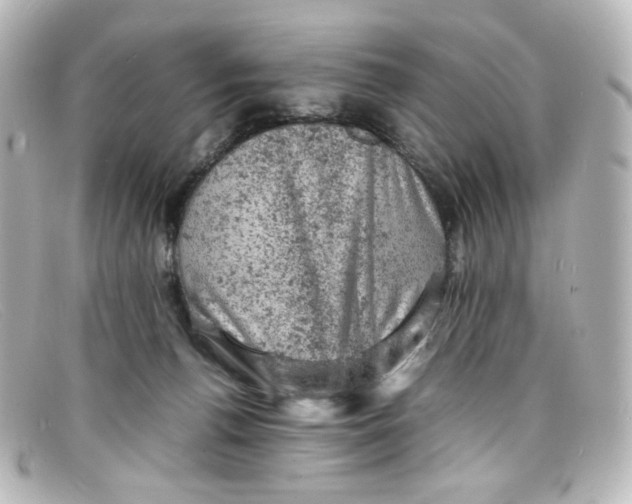 X0000098160176200805081111