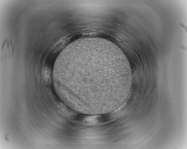 X0000098160178200805081111