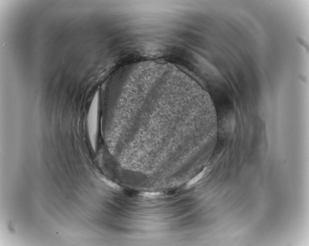 X0000098160180200805081112