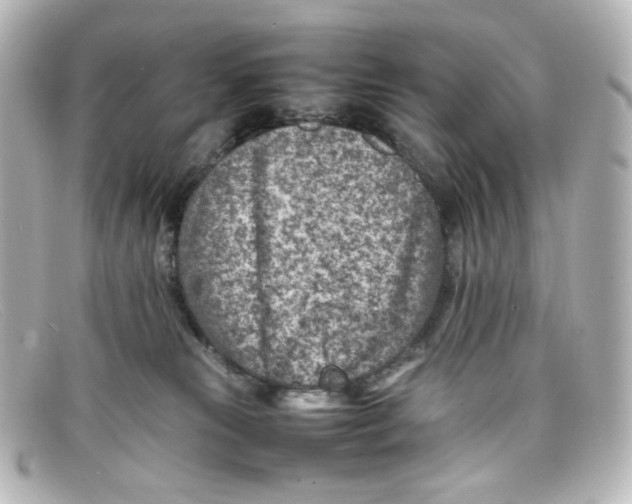 X0000098160181200805081112