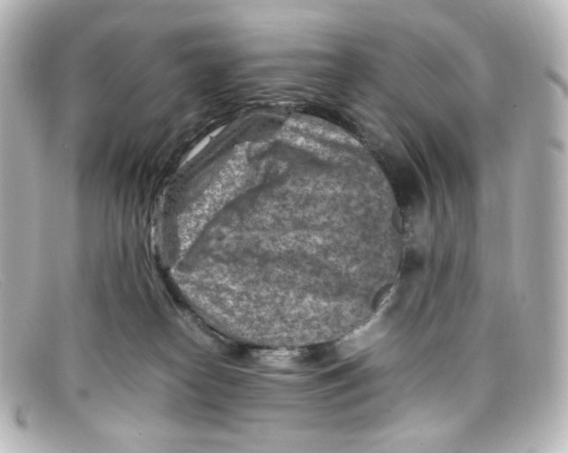 X0000098160182200805081112