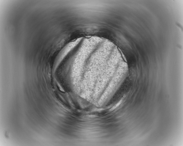 X0000098160184200805081112