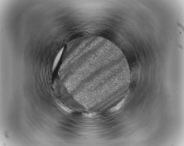 X0000098160186200805081112