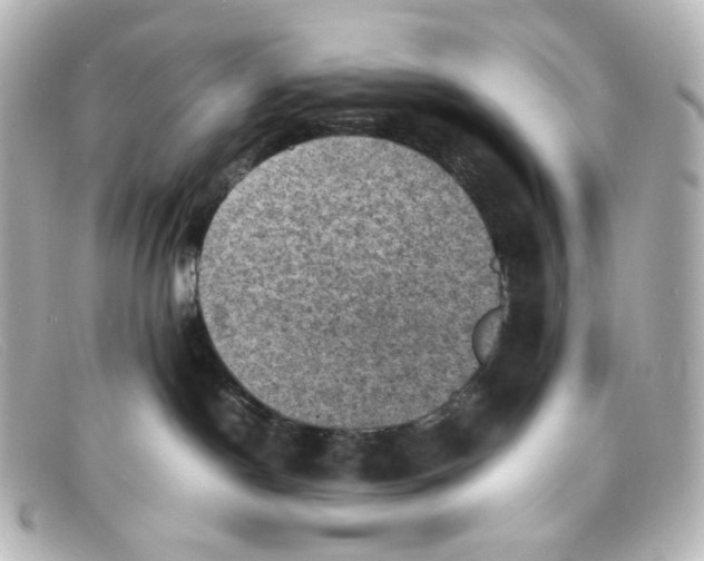 X0000098160190200805081112