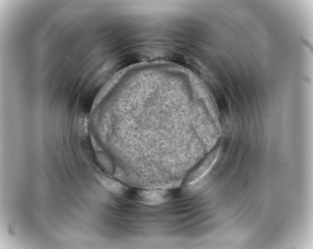 X0000098160191200805081112