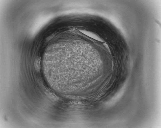 X0000098160194200805081111