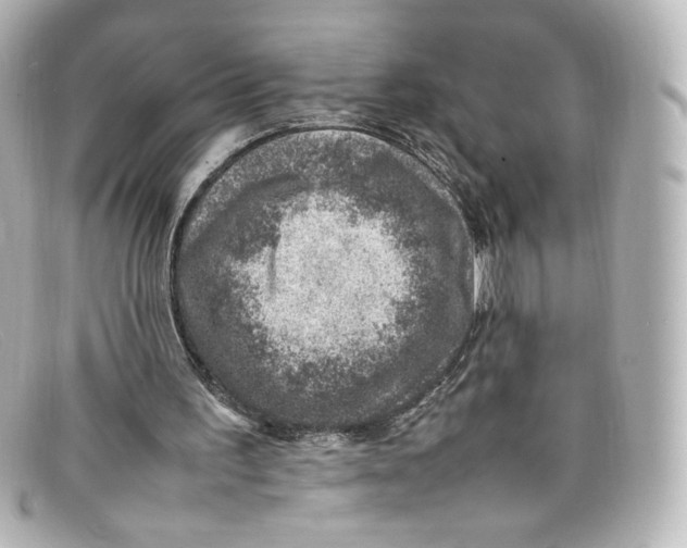 X0000098160195200805081111