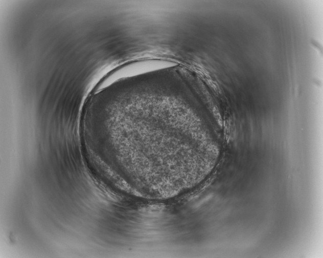 X0000098160196200805081111