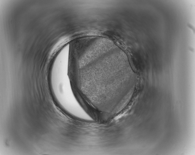 X0000098160197200805081111