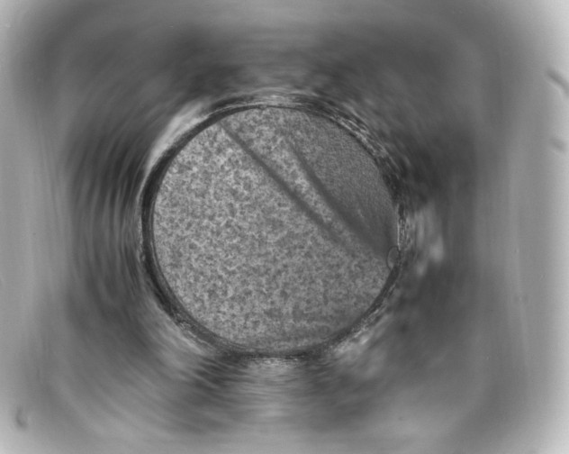 X0000098160198200805081111