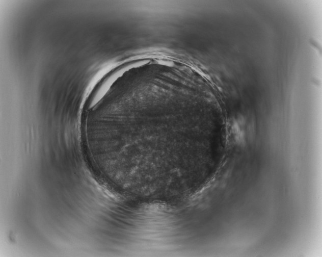 X0000098160200200805081111