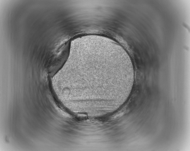 X0000098160201200805081111