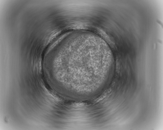 X0000098160202200805081111