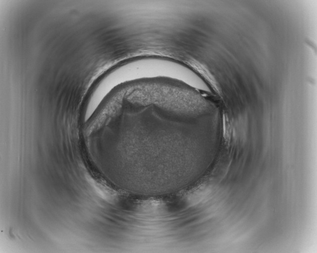 X0000098160204200805081111