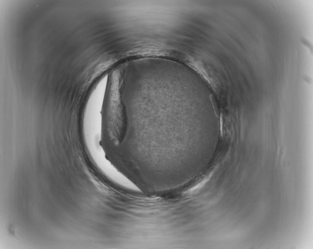 X0000098160205200805081111