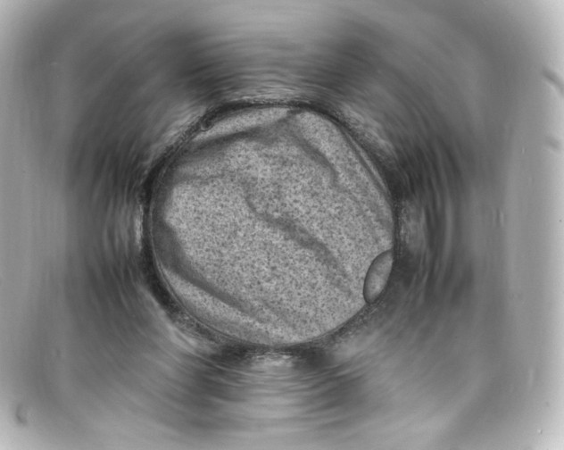 X0000098160206200805081111