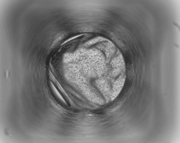 X0000098160207200805081111