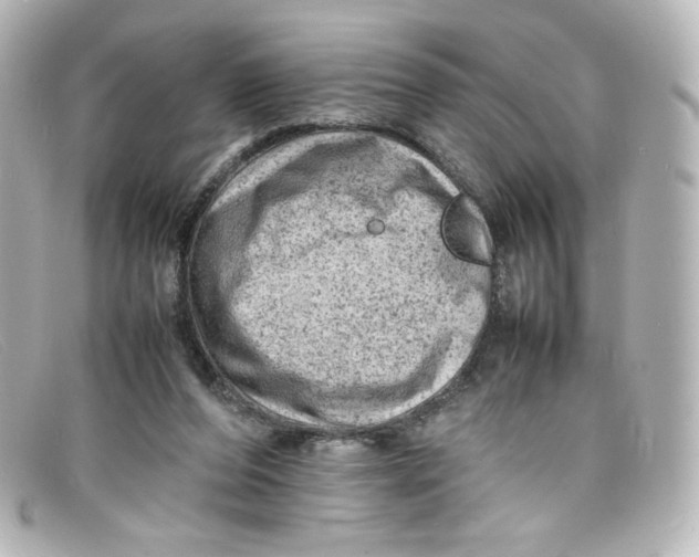 X0000098160208200805081111