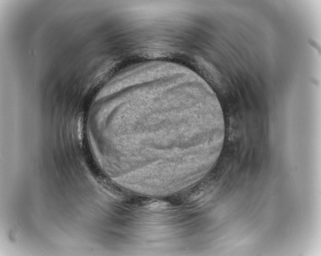 X0000098160210200805081111