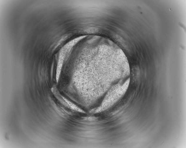 X0000098160212200805081111