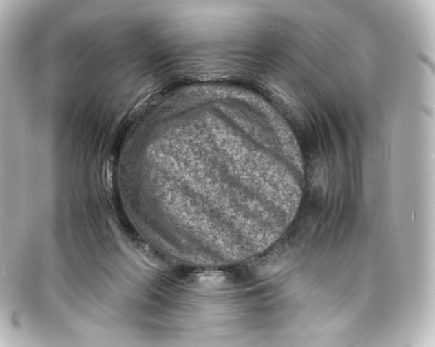 X0000098160214200805081111
