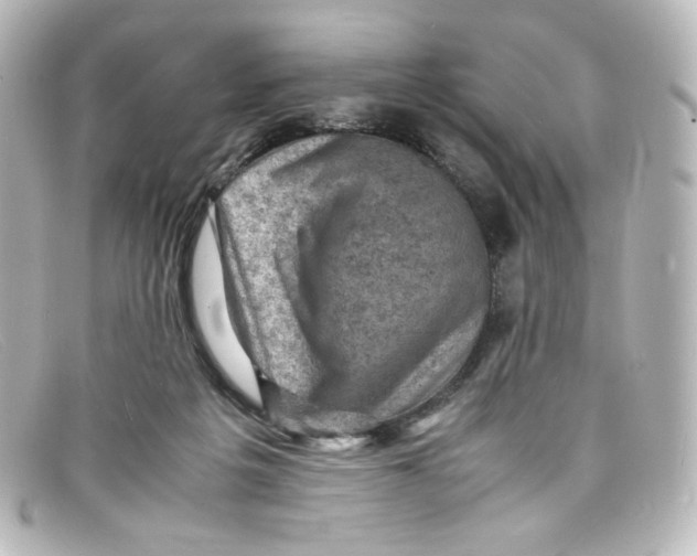 X0000098160217200805081111