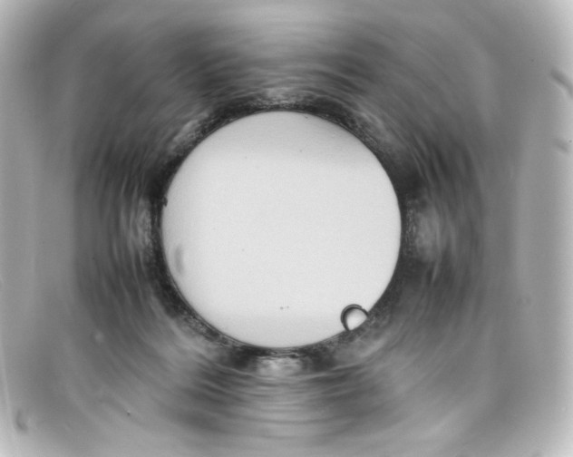X0000098160220200805081111