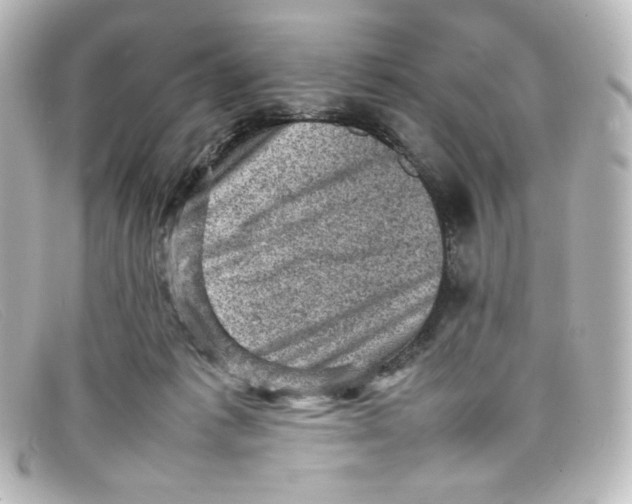 X0000098160221200805081111