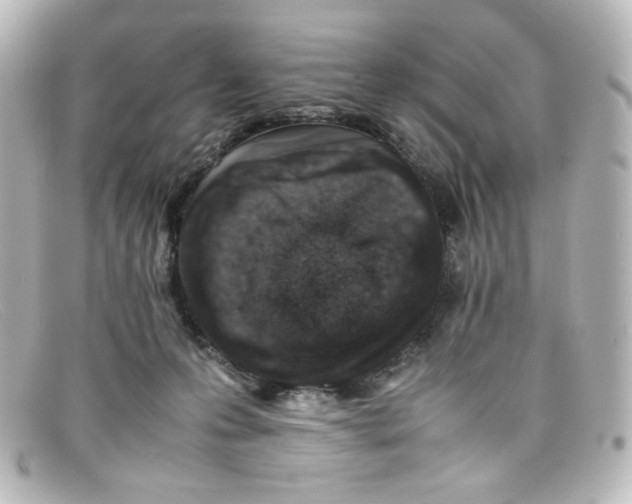 X0000098160223200805081111