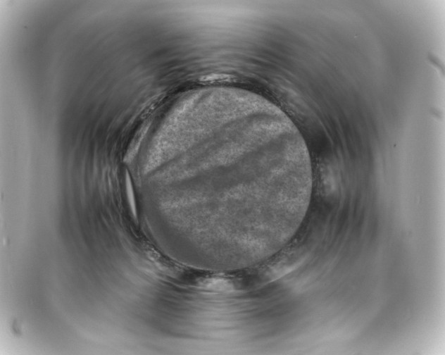 X0000098160224200805081111
