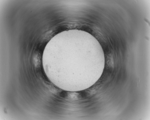 X0000098160226200805081110