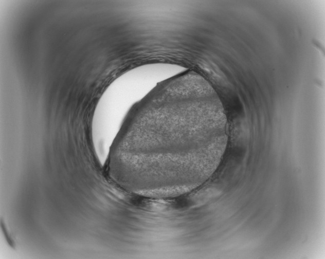 X0000098160229200805081110