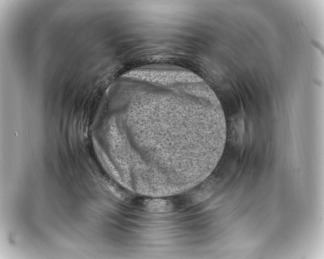 X0000098160230200805081110
