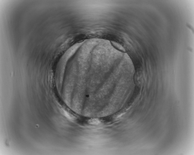 X0000098160231200805081110