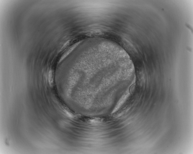 X0000098160232200805081110