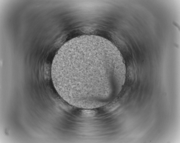 X0000098160234200805081110