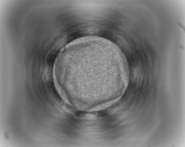 X0000098160236200805081110